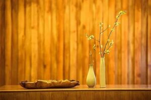 u24958456823662813371fm26gp0