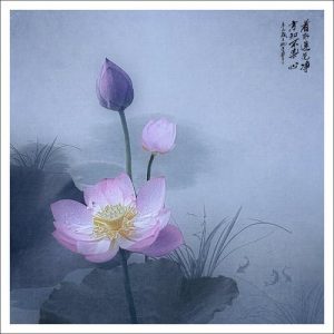 u32972936392221257742fm26gp0