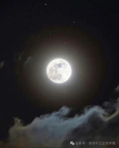 03c81f1b8aa79c9215d7929cfc844e78