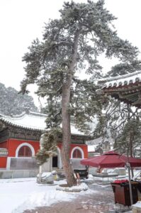 071592f9d58aadee80f50ccd552c5680