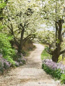 0a7523015f9e9452a121cddd9747896a