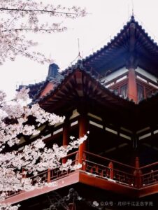 7b4f04445a726bcb40da66ccc6c22041