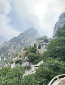 8afe5b1c7f7a3c1477c6d016d72c1636